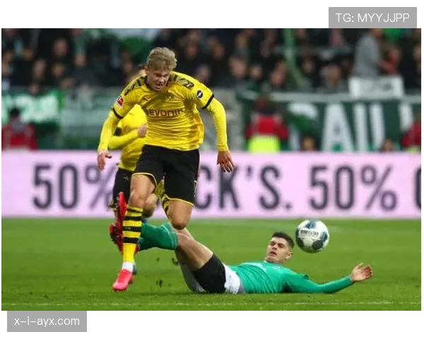 哈兰德射门分布与转化率解析：是否接近完美终结模型